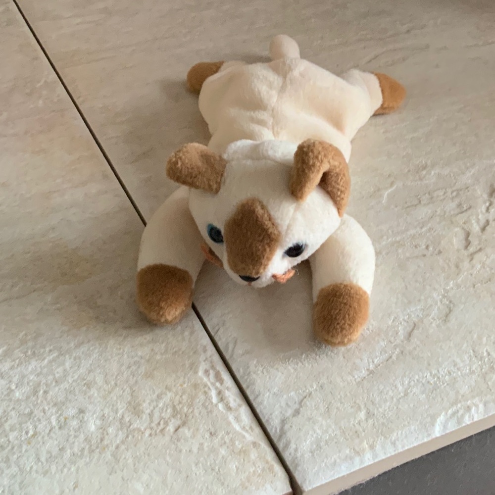 BEANIE BABY Name is SNIP